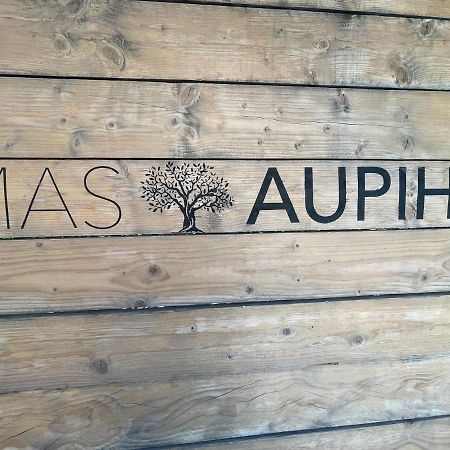 Mas Aupiho Villa Saint-Rémy-de-Provence Eksteriør billede