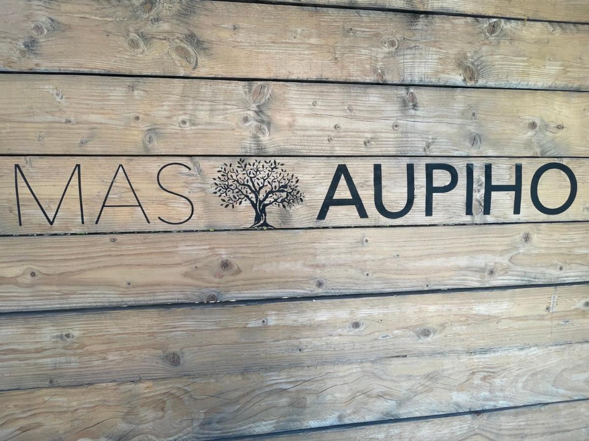 Mas Aupiho Villa Saint-Rémy-de-Provence Eksteriør billede